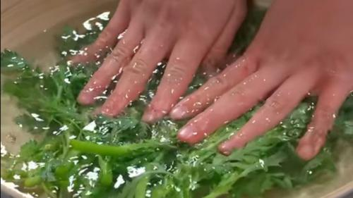 Cara Olah Sayuran Agar Tetap Hijau Dan Renyah Alami