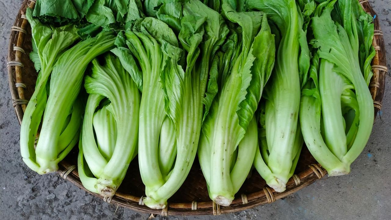 Tips Masak Sayur Hijau Agar Tetap Segar Dan Tidak Pahit